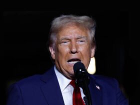 Europas politische Instabilität inmitten von Trumps zweiter Amtszeit