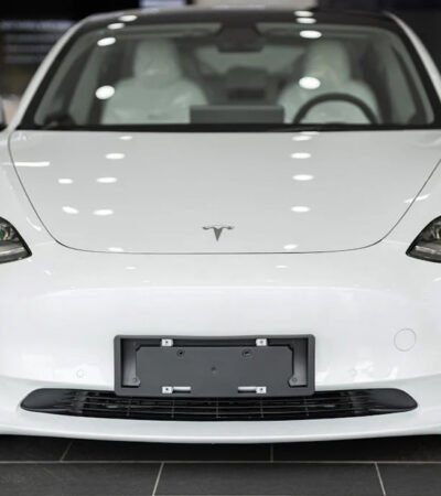 Rückgang der Tesla-Verkäufe in Deutschland nach Musk-Unterstützung