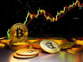 Bitcoin-Preisvolatilität