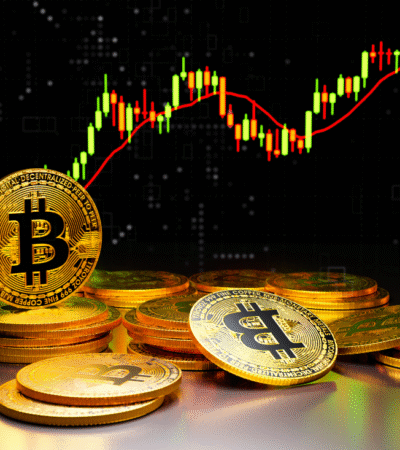 Bitcoin-Preisvolatilität