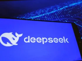 Bedenken hinsichtlich der Daten der DeepSeek-App