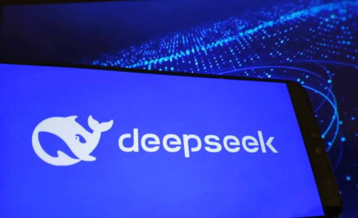 Bedenken hinsichtlich der Daten der DeepSeek-App