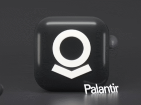Palantir-Software-Überwachung Deutschland